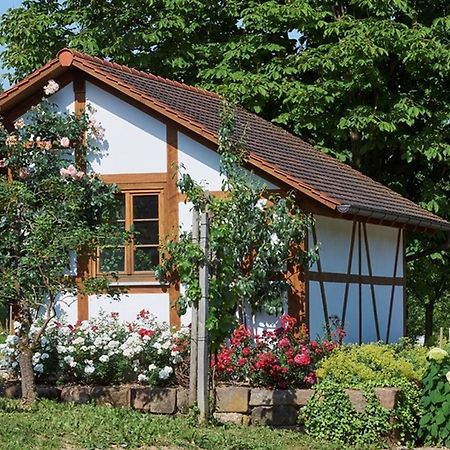 Ferienwohnung Winzerhof Wörner Durbach Exterior foto